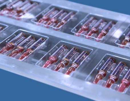 Body 12 Vials