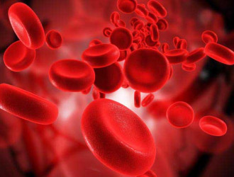 Body 01 Blood Cells