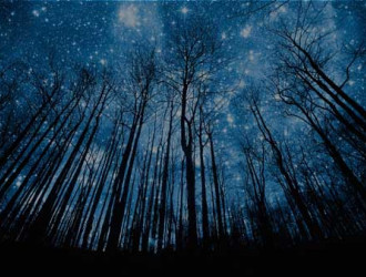 Earth 18 Trees