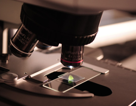 Misc 21 Microscope